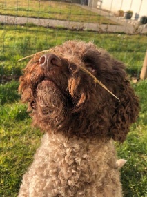 Keano staeckli auf nase